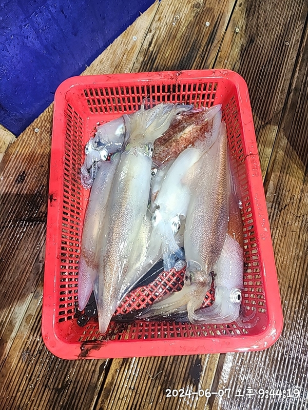 뉴패미리호의 조황일지 이미지 - 2