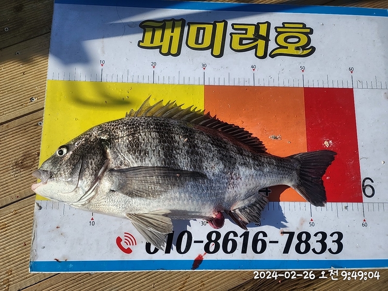 뉴패미리호의 조황일지 이미지 - 7