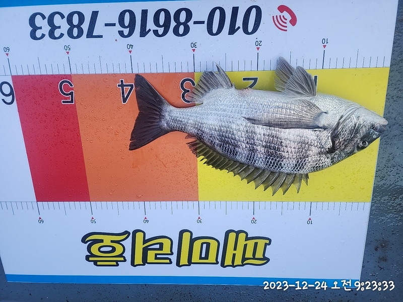 뉴패미리호의 조황일지 이미지 - 3