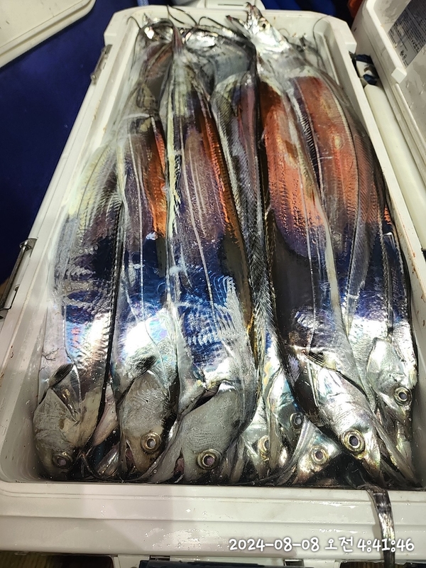 뉴패미리호의 조황일지 이미지 - 2