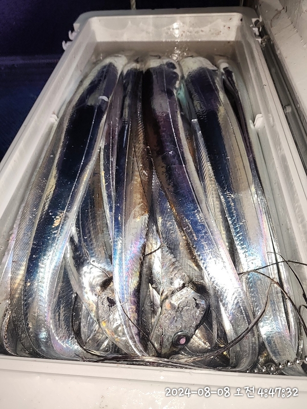 뉴패미리호의 조황일지 이미지 - 1