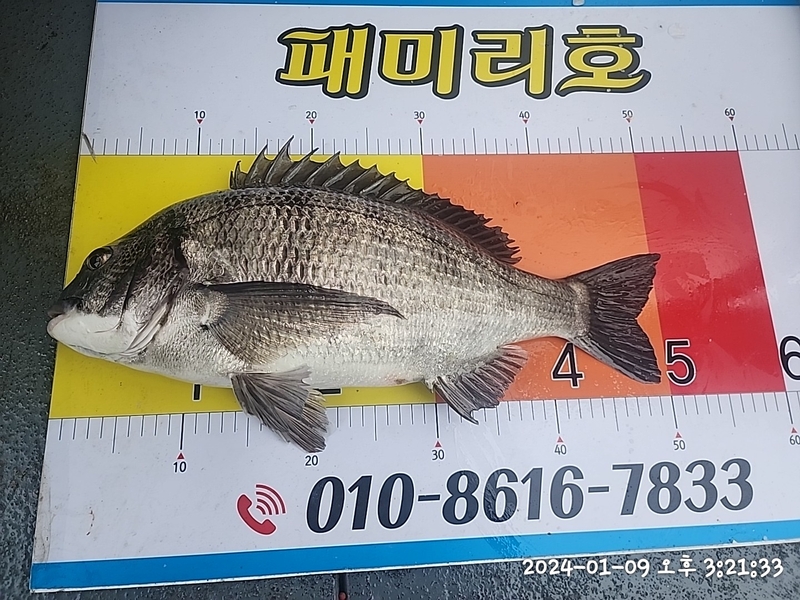 뉴패미리호의 조황일지 이미지 - 5