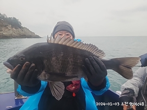 어초흘림 대물감성돔 초보도 5짜조사 선상낚시로 잡은 물고기 조황