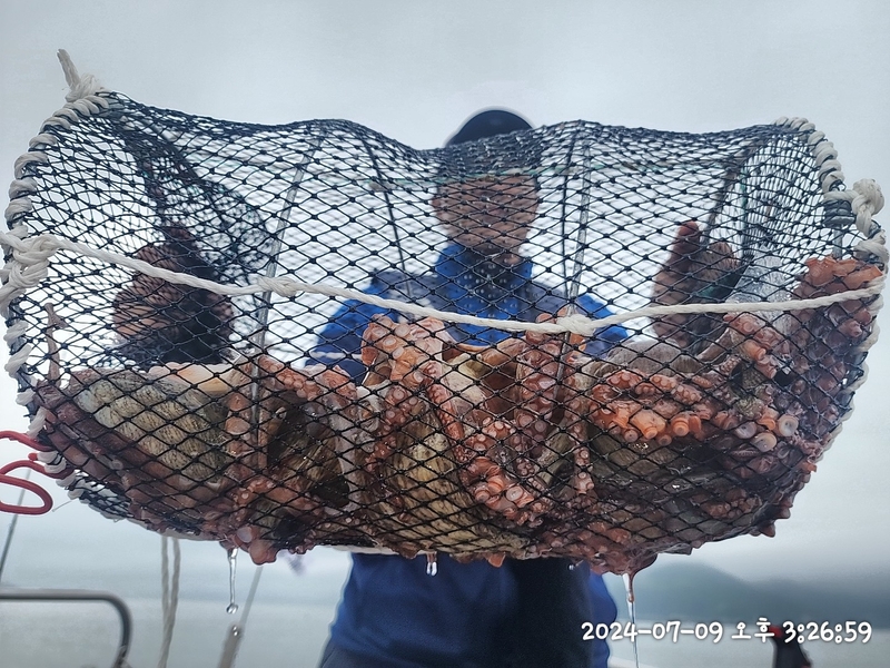 뉴패미리호의 조황일지 이미지 - 3