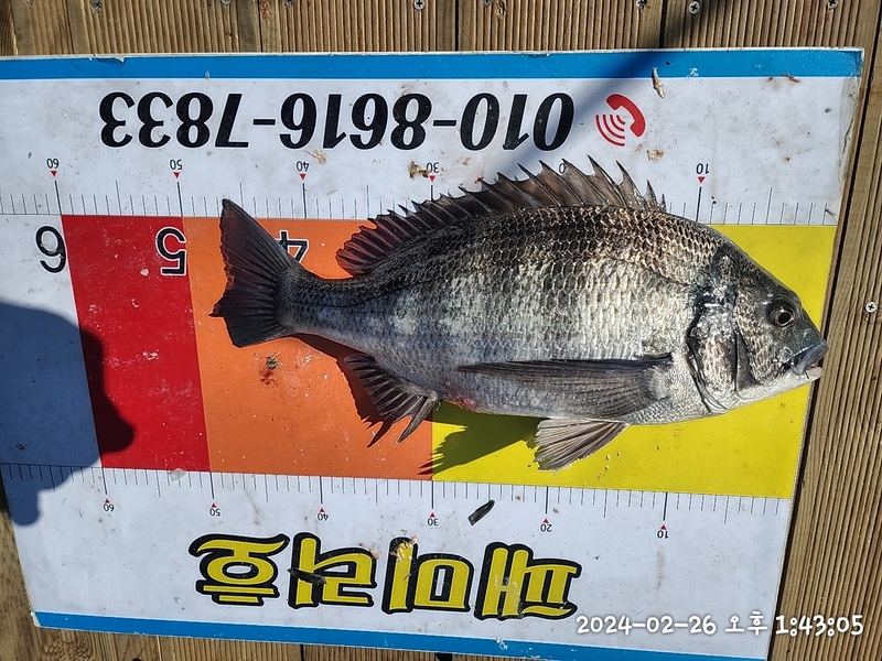 뉴패미리호의 조황일지 이미지 - 11