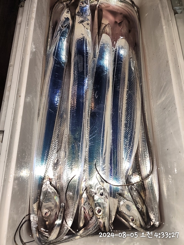 뉴패미리호의 조황일지 이미지 - 4