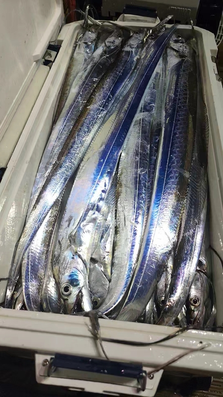 뉴패미리호의 조황일지 이미지 - 6