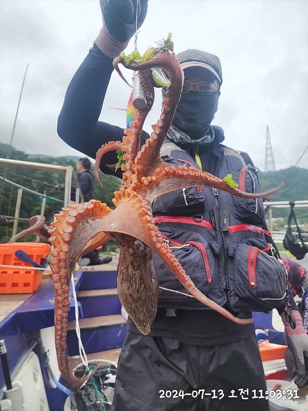 뉴패미리호의 조황일지 이미지 - 11