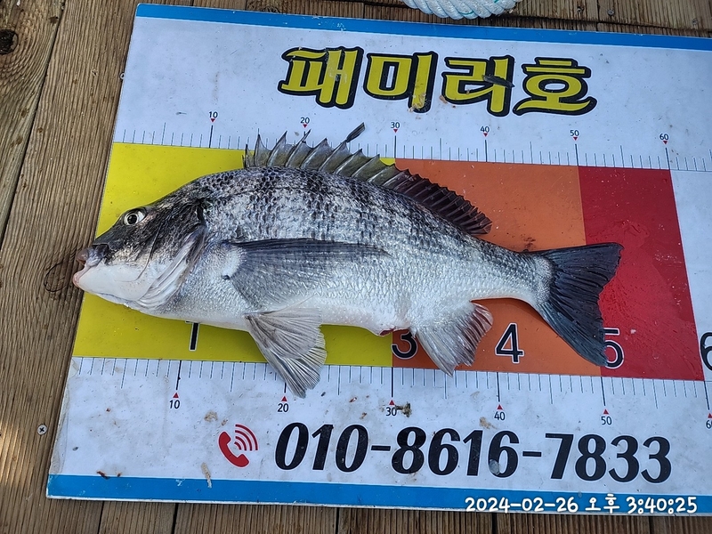 뉴패미리호의 조황일지 이미지 - 2