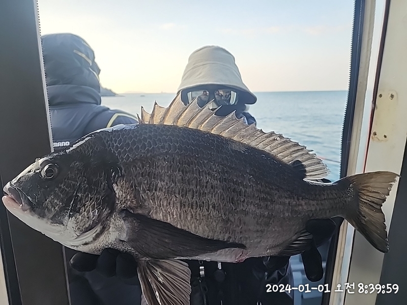 뉴패미리호의 조황일지 이미지 - 3