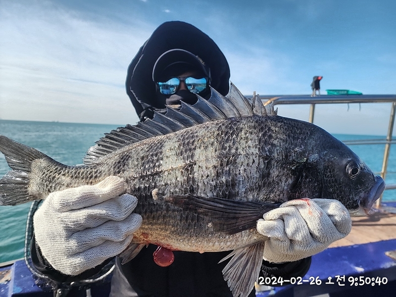 뉴패미리호의 조황일지 이미지 - 8