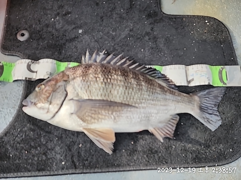 뉴패미리호의 조황일지 이미지 - 11