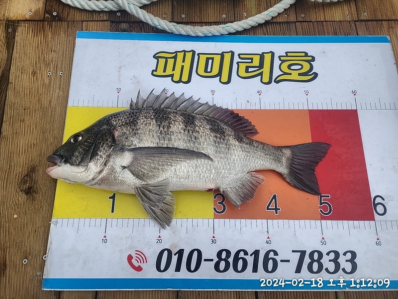 뉴패미리호의 조황일지 이미지 - 5