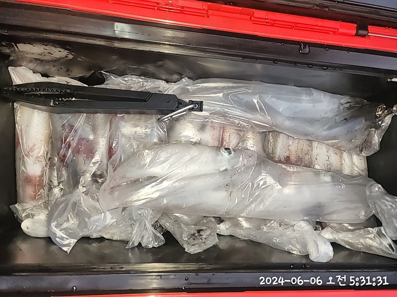 뉴패미리호의 조황일지 이미지 - 11