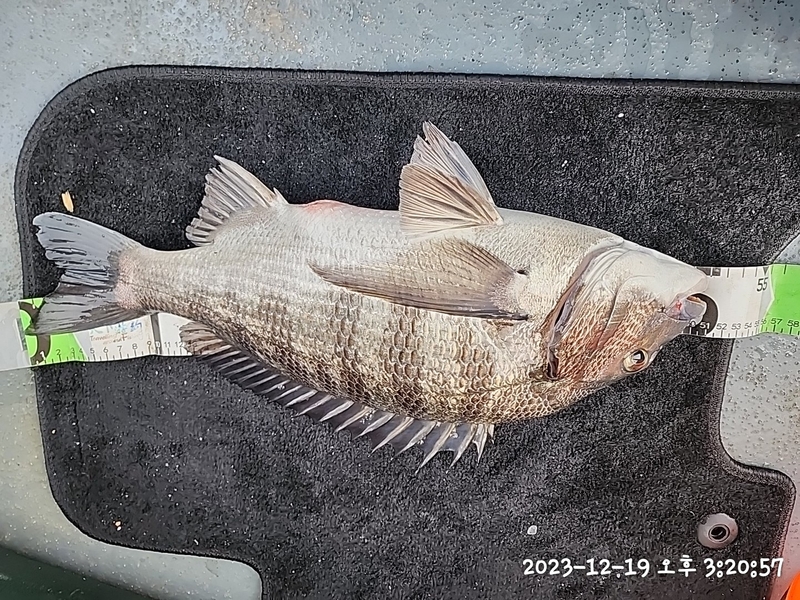 뉴패미리호의 조황일지 이미지 - 2