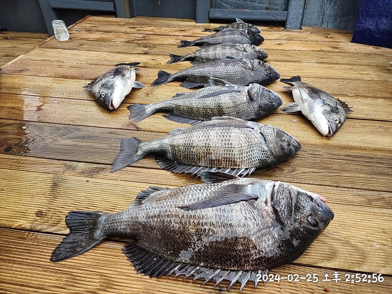 뉴패미리호의 조황일지 이미지 - 13