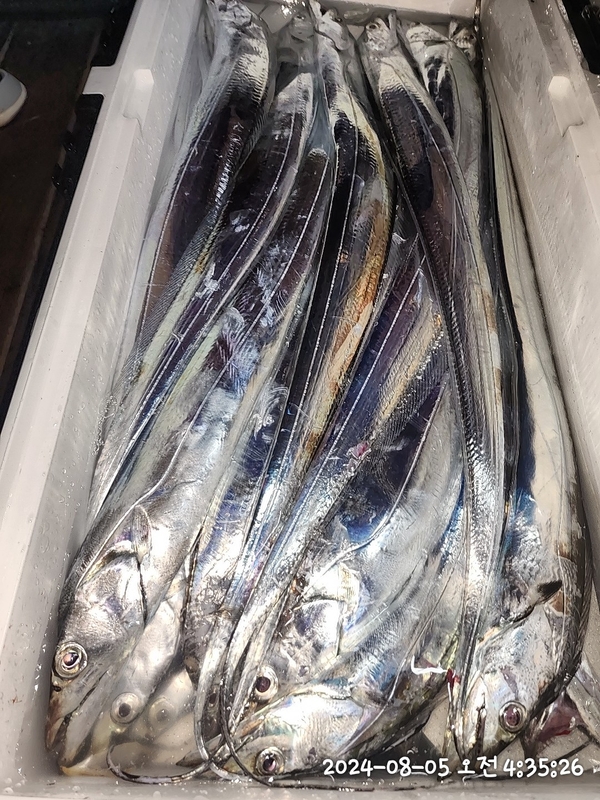 뉴패미리호의 조황일지 이미지 - 2