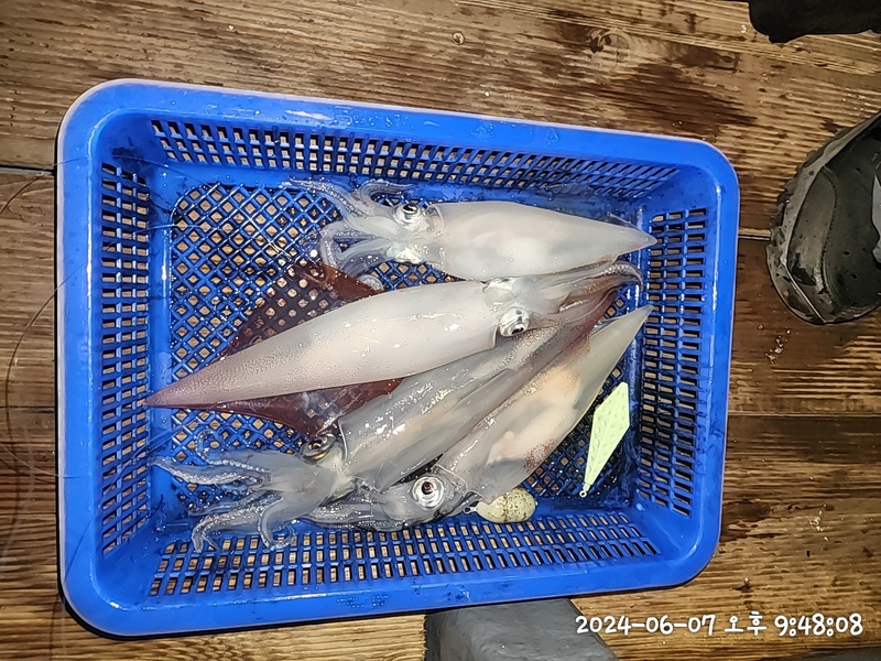 뉴패미리호의 조황일지 이미지 - 3