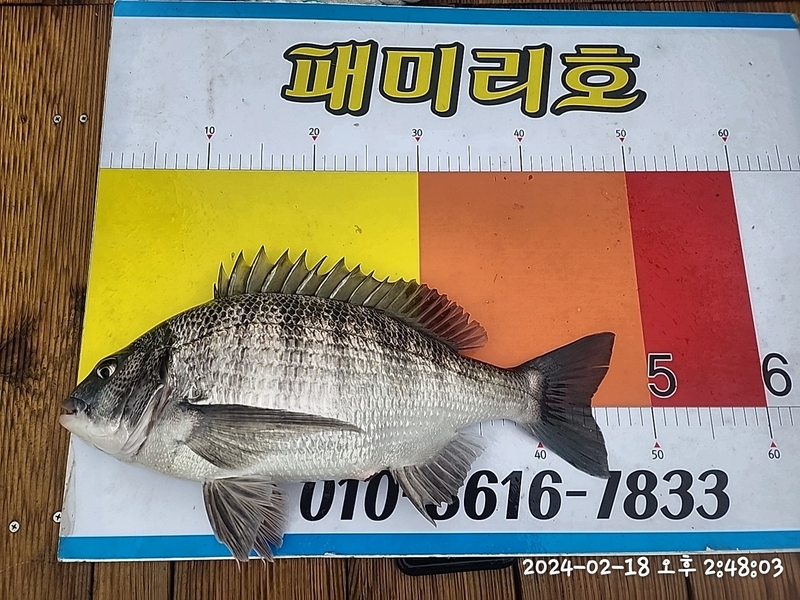 뉴패미리호의 조황일지 이미지 - 8