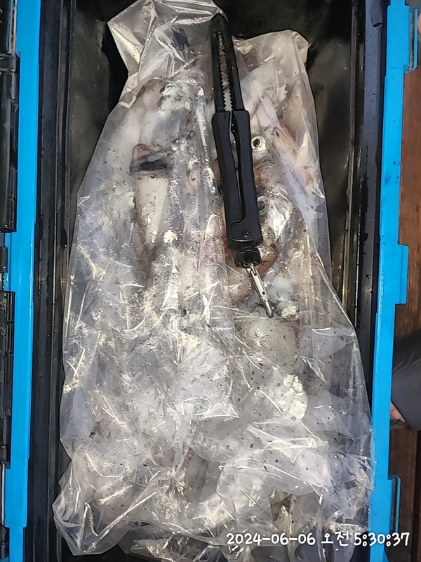 뉴패미리호의 조황일지 이미지 - 10