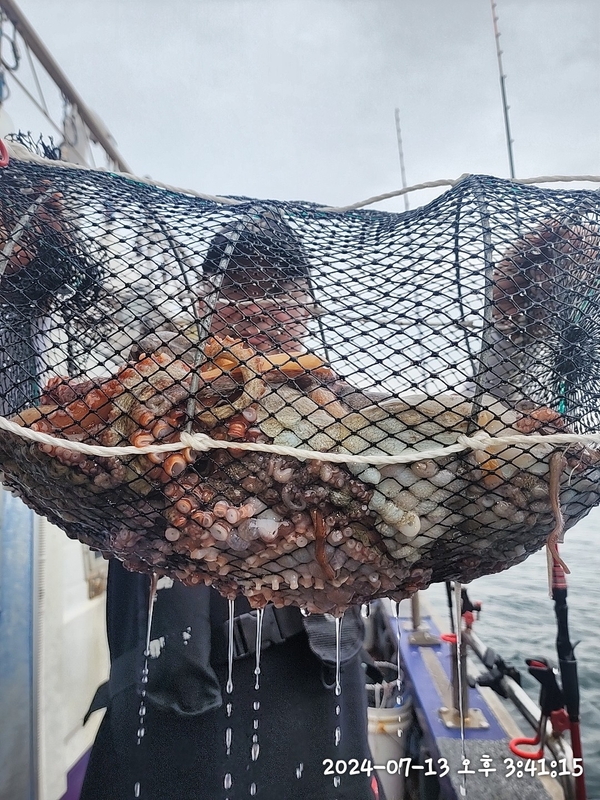 뉴패미리호의 조황일지 이미지 - 4