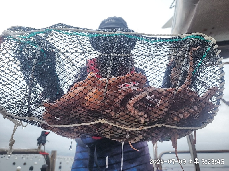 뉴패미리호의 조황일지 이미지 - 8