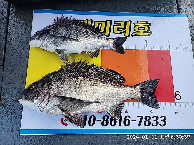 뉴패미리호의 조황일지 이미지 - 6