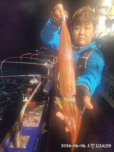 한치 쓰리걸이 쌍걸이 쪽쪽 씨알좋고 퍽퍽퍽퍽 선상낚시로 잡은 물고기 조황