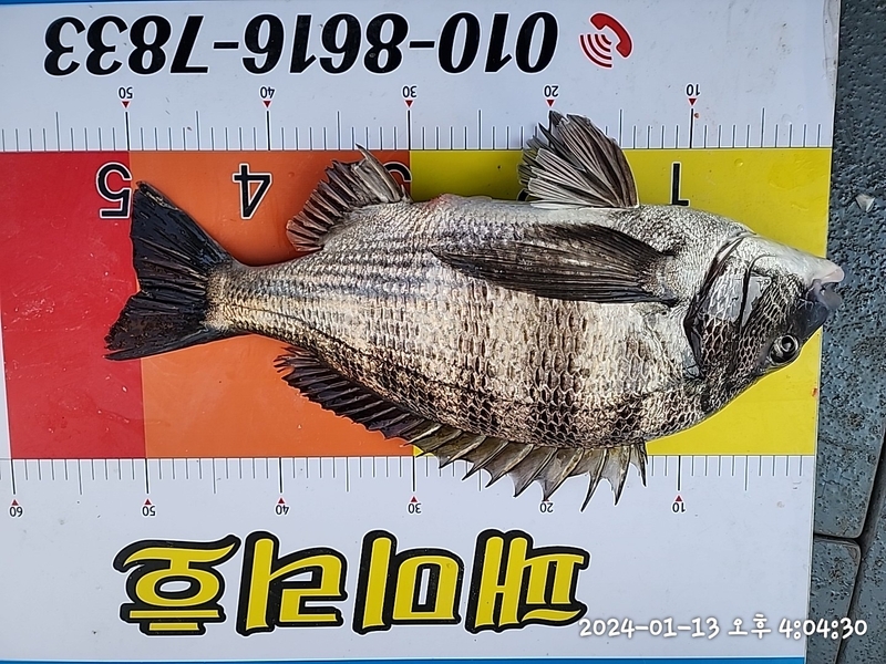 뉴패미리호의 조황일지 이미지 - 1