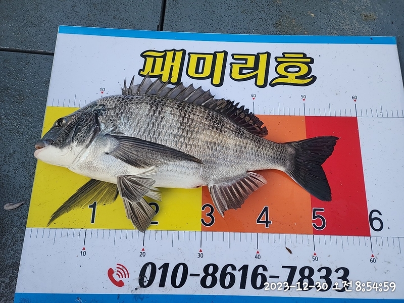 뉴패미리호의 조황일지 이미지 - 1