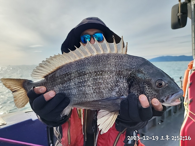 뉴패미리호의 조황일지 이미지 - 4