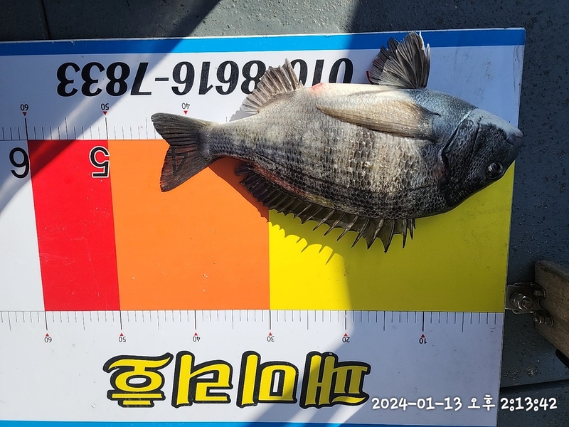 뉴패미리호의 조황일지 이미지 - 4