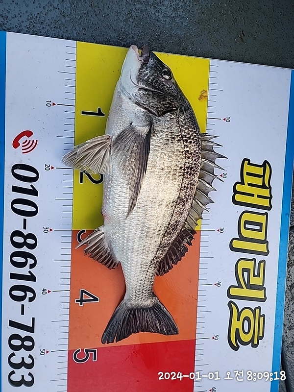 뉴패미리호의 조황일지 이미지 - 5