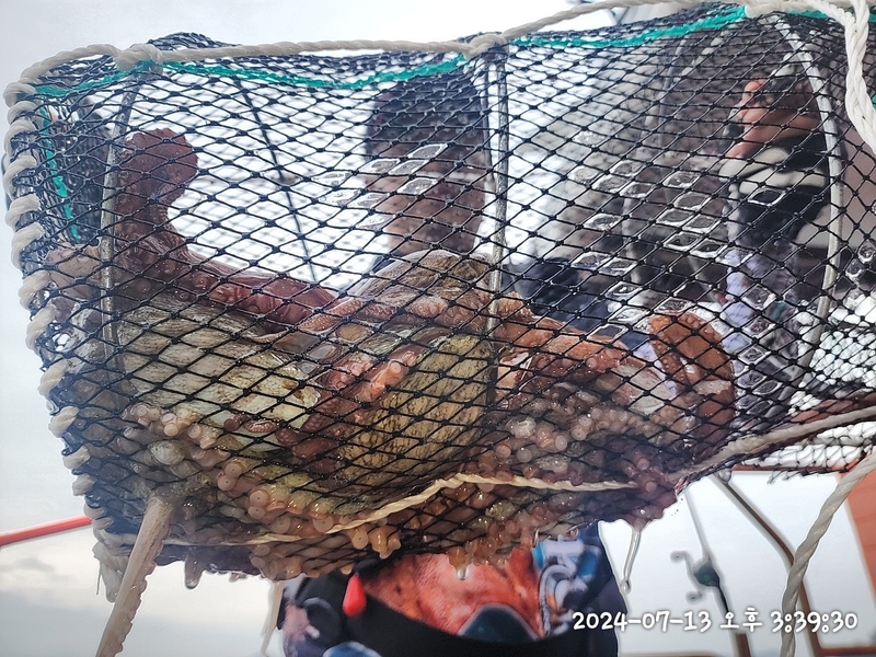 뉴패미리호의 조황일지 이미지 - 3