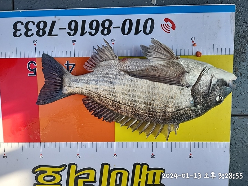 뉴패미리호의 조황일지 이미지 - 3