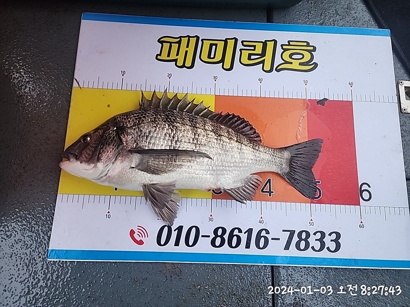 뉴패미리호의 조황일지 이미지 - 2