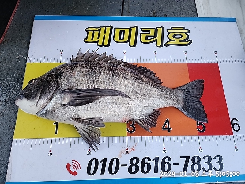 뉴패미리호의 조황일지 이미지 - 8