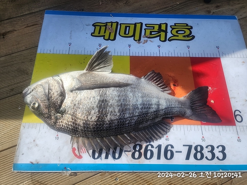 뉴패미리호의 조황일지 이미지 - 5