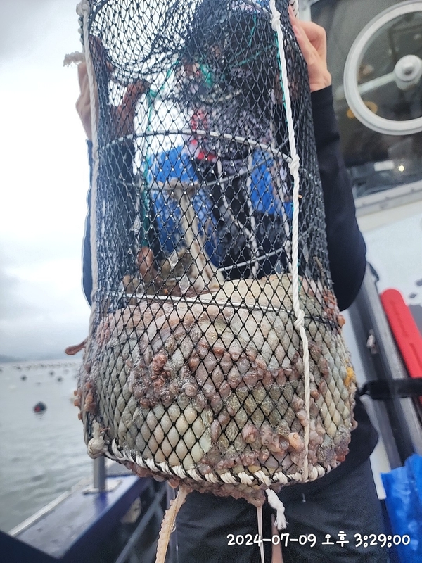 뉴패미리호의 조황일지 이미지 - 0