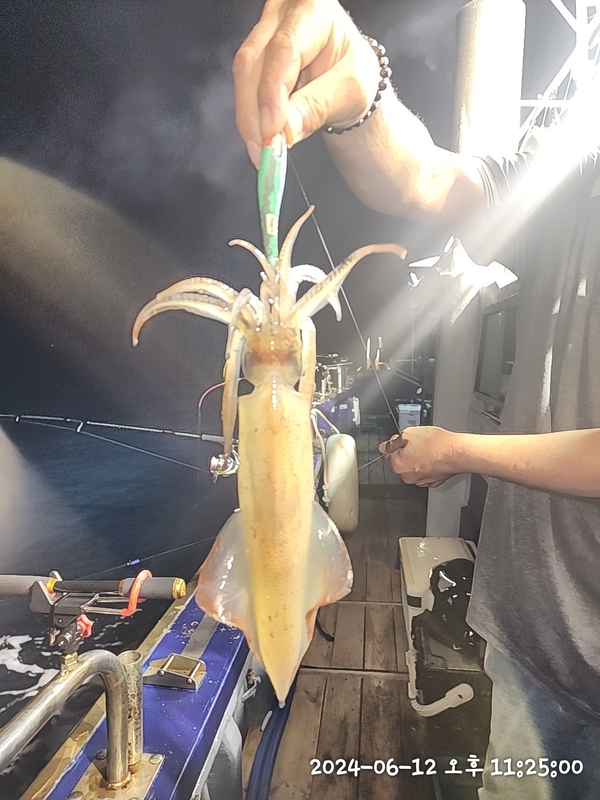 뉴패미리호의 조황일지 이미지 - 3