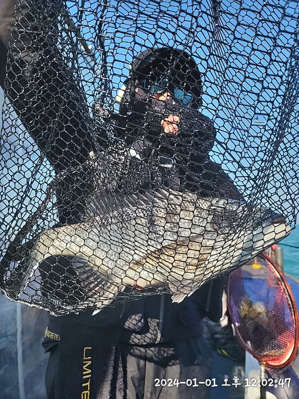 뉴패미리호의 조황일지 이미지 - 10