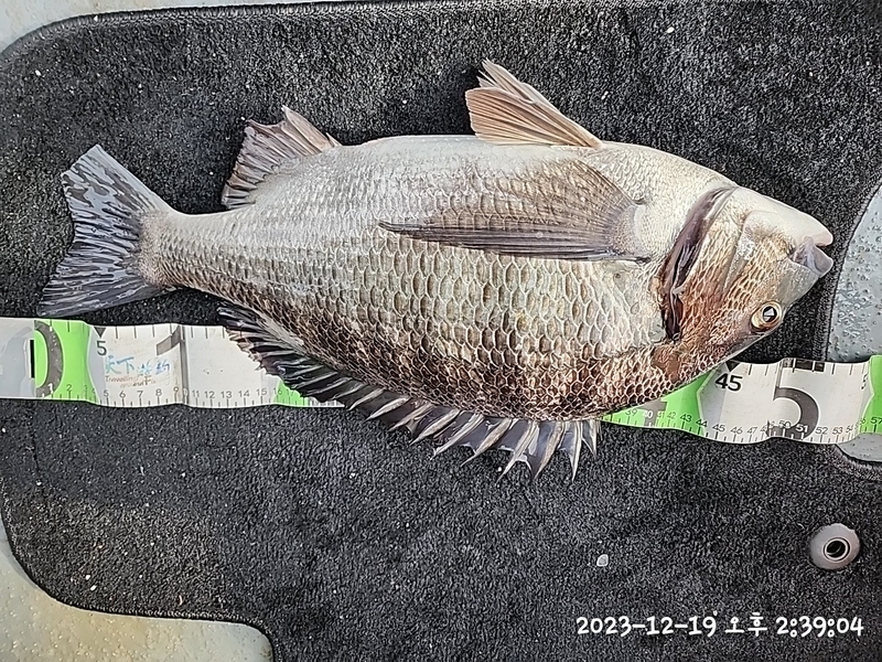 뉴패미리호의 조황일지 이미지 - 3