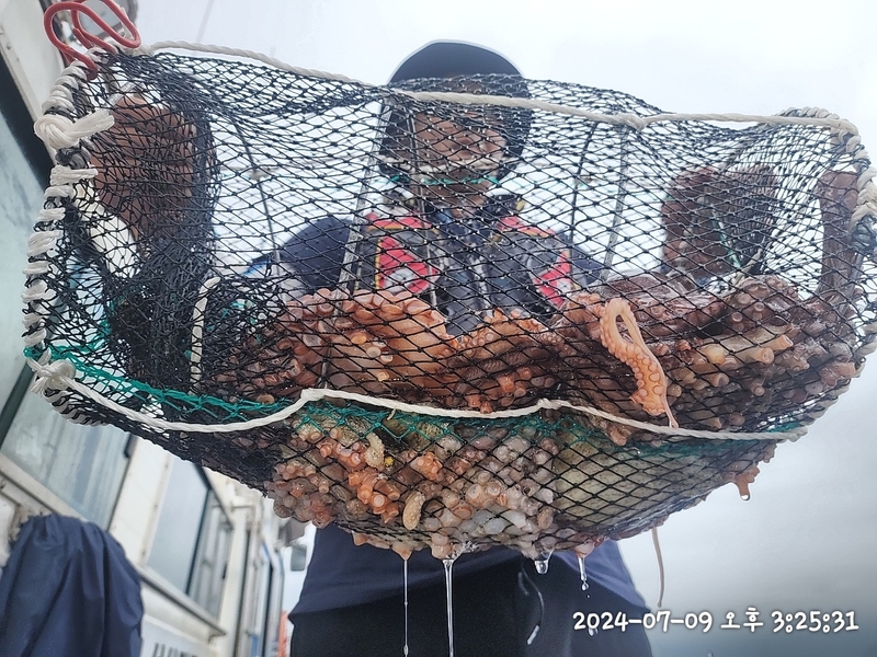 뉴패미리호의 조황일지 이미지 - 5