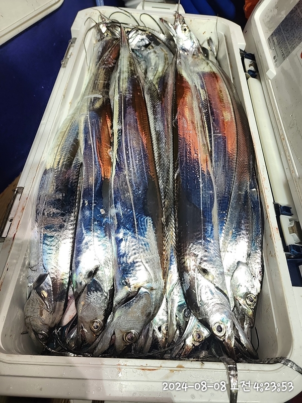 뉴패미리호의 조황일지 이미지 - 5