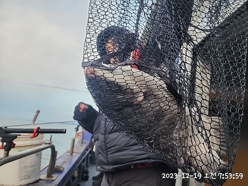 뉴패미리호의 조황일지 이미지 - 16