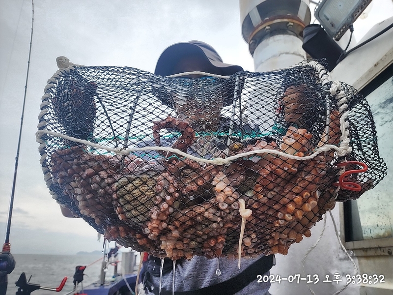 뉴패미리호의 조황일지 이미지 - 2