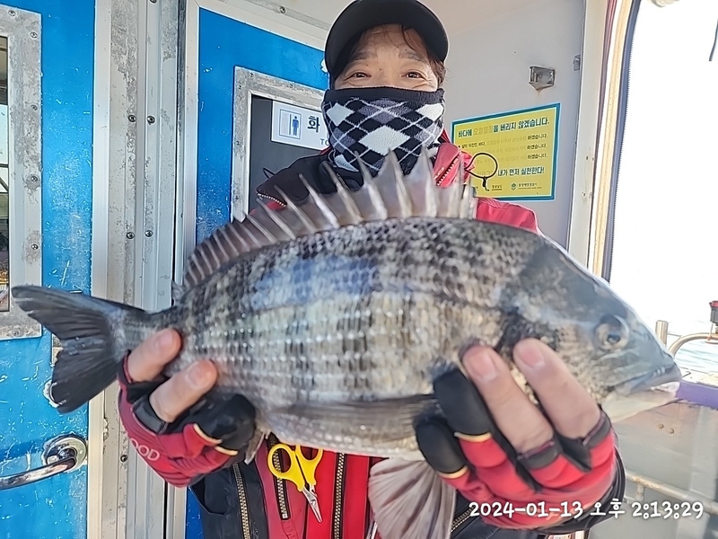 뉴패미리호의 조황일지 이미지 - 2