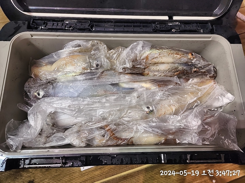 뉴패미리호의 조황일지 이미지 - 9