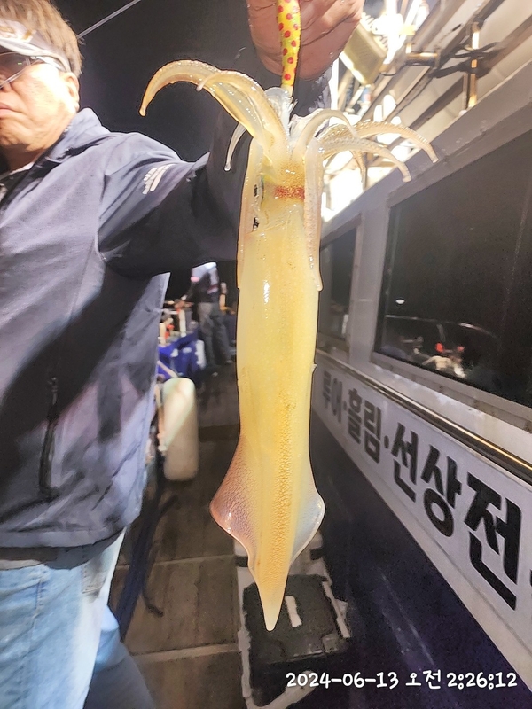 뉴패미리호의 조황일지 이미지 - 0