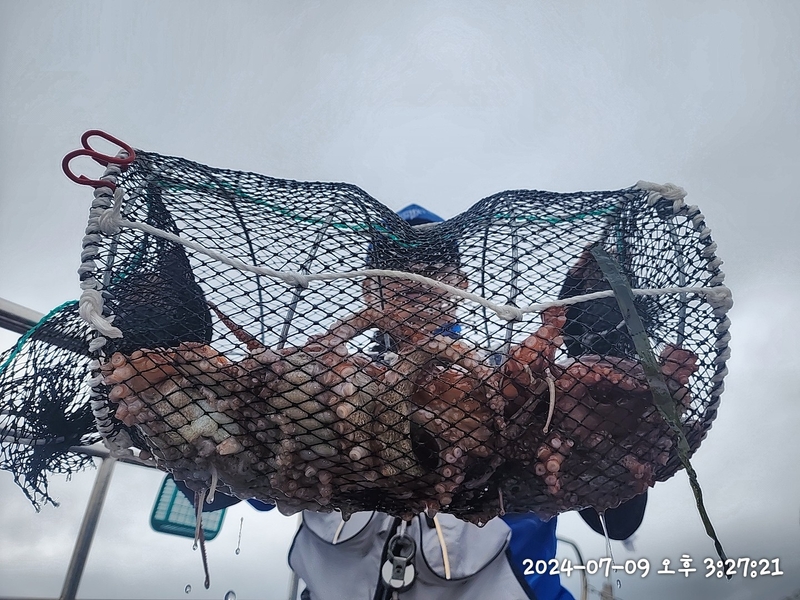 뉴패미리호의 조황일지 이미지 - 7